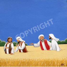 The disciples in the grain field